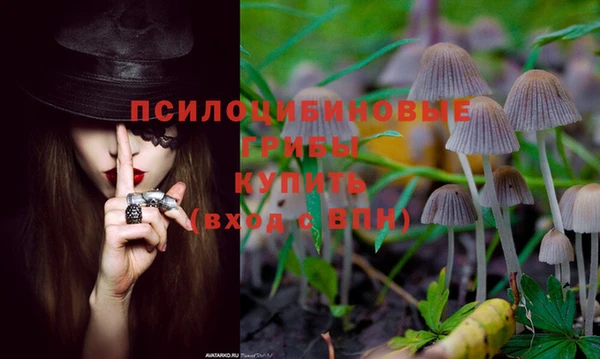 бошки Арсеньев